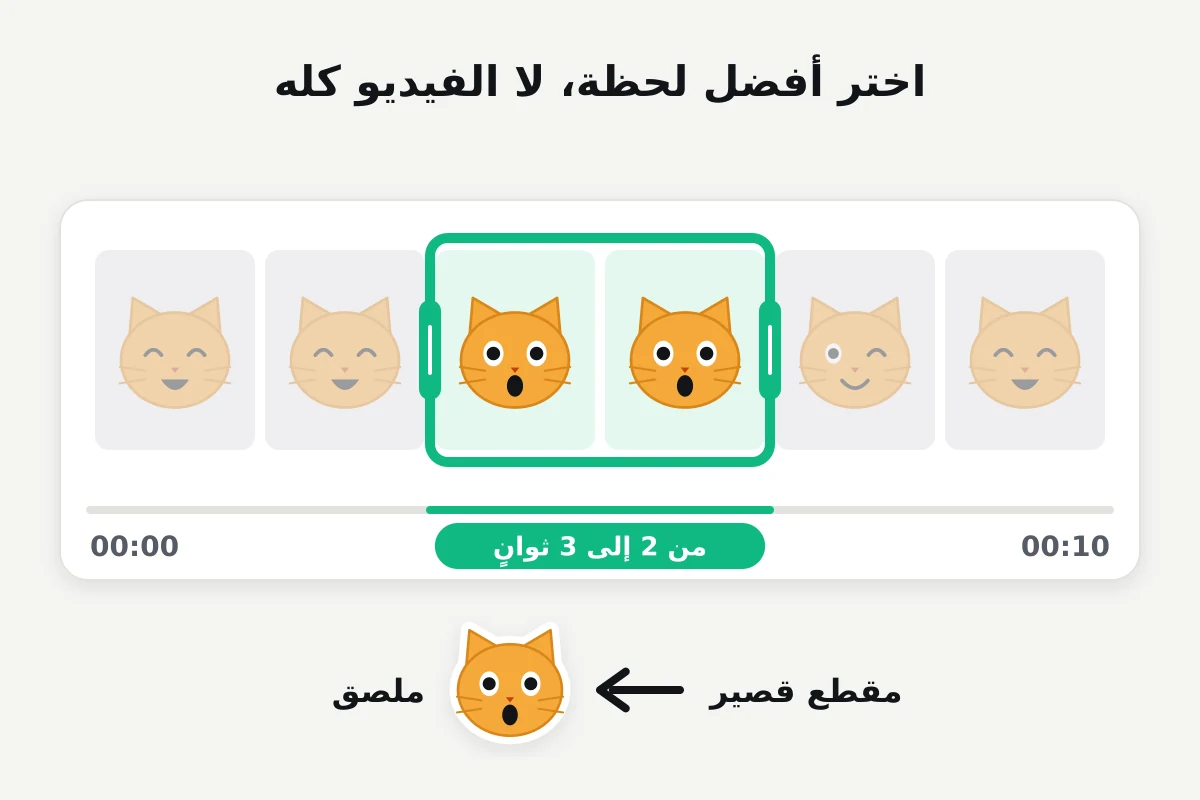 شريط زمني لفيديو مدته عشر ثوانٍ وقد حُدّدت في منتصفه لحظة القطة المندهشة ومدتها ثانيتان إلى ثلاث